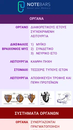 NOTEBARS screenshot 4