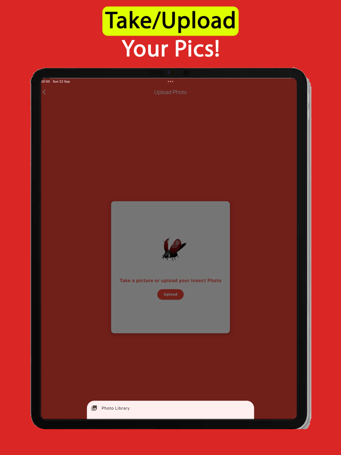 Insect Identifier AI Scanner