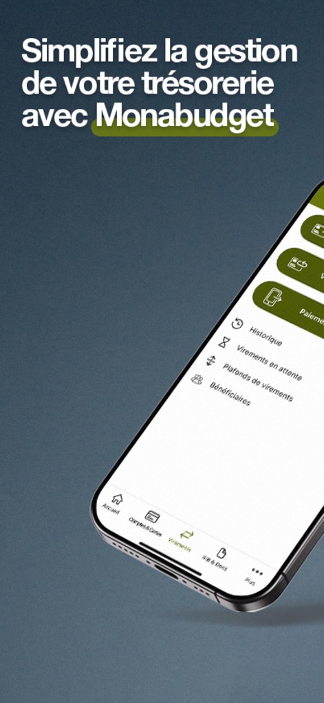 Monabanq - Banque en ligne - Explore the intuitive transfer management menu, offering options for pending transfers and beneficiary management, alongside the integrated Monabudget service.