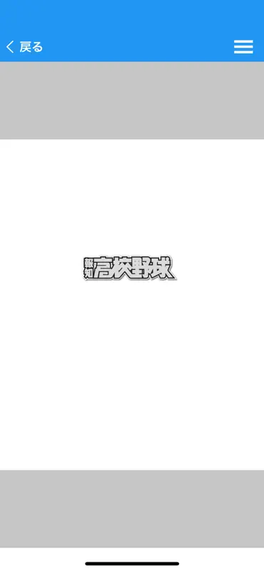 報知高校野球（ほうちこうこうやきゅう） screenshot 3 of 5