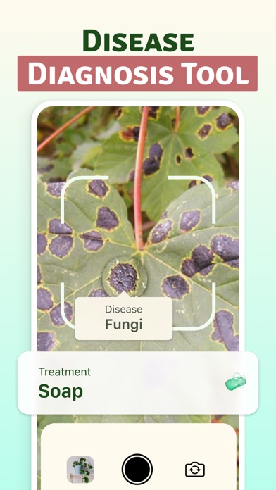 Plant: Identifier & Diagnostic Screenshot