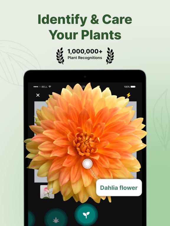 PlantOn - Ai Plant Identifier iPad screenshot 1 - Education app