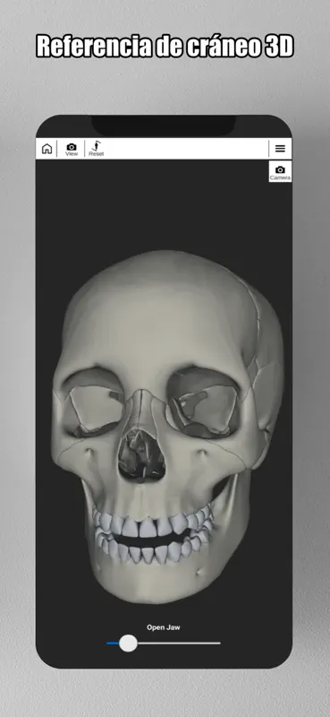 Face Model: Cabeza 3D Ref. screenshot 6 of 9