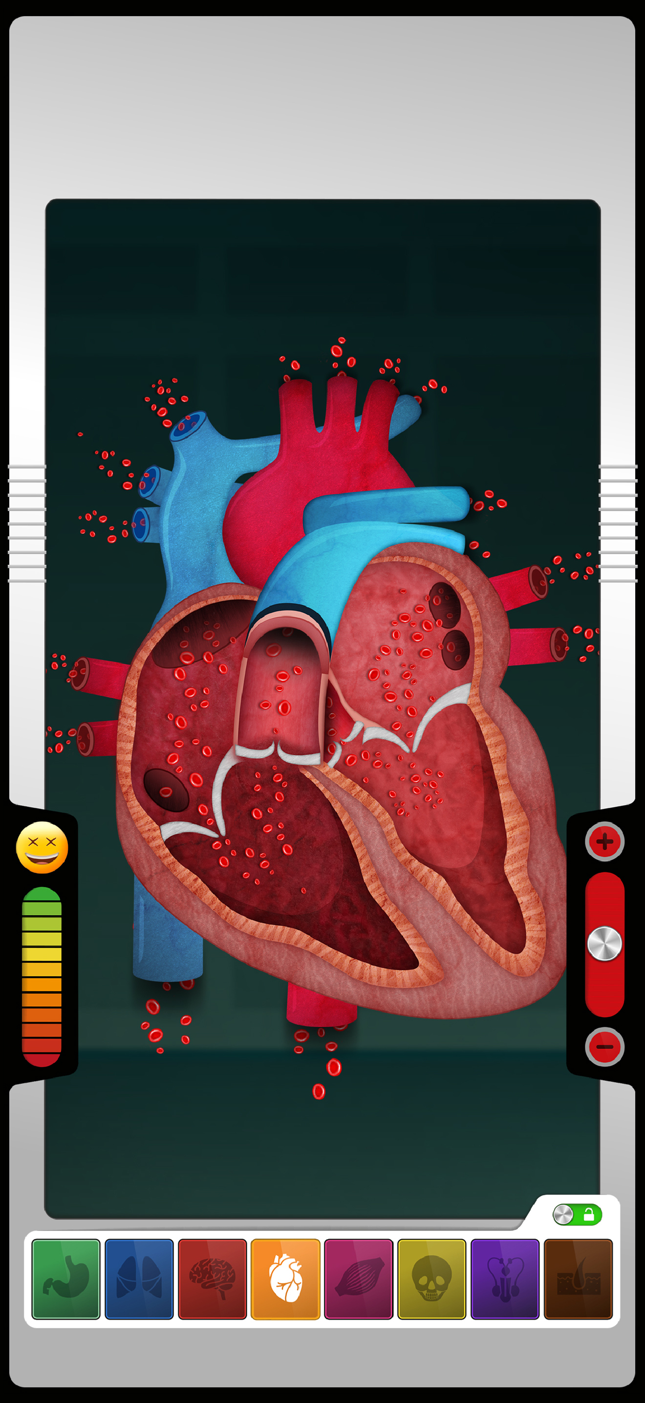 The Human Body: Learn Anatomy