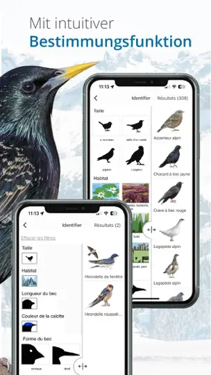 Vogelführer Birdlife Schweiz iPhone-skjermbilde 10