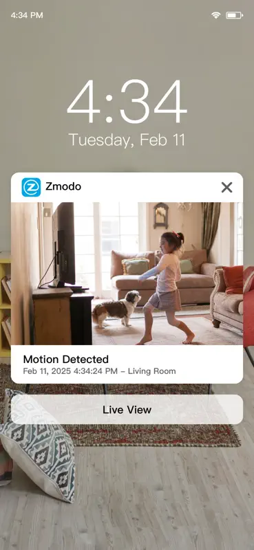 Zmodo screenshot 8 of 8