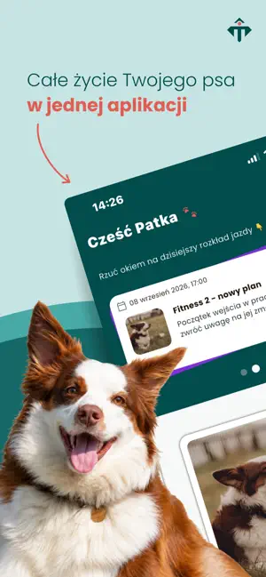Tailoo screenshot 1