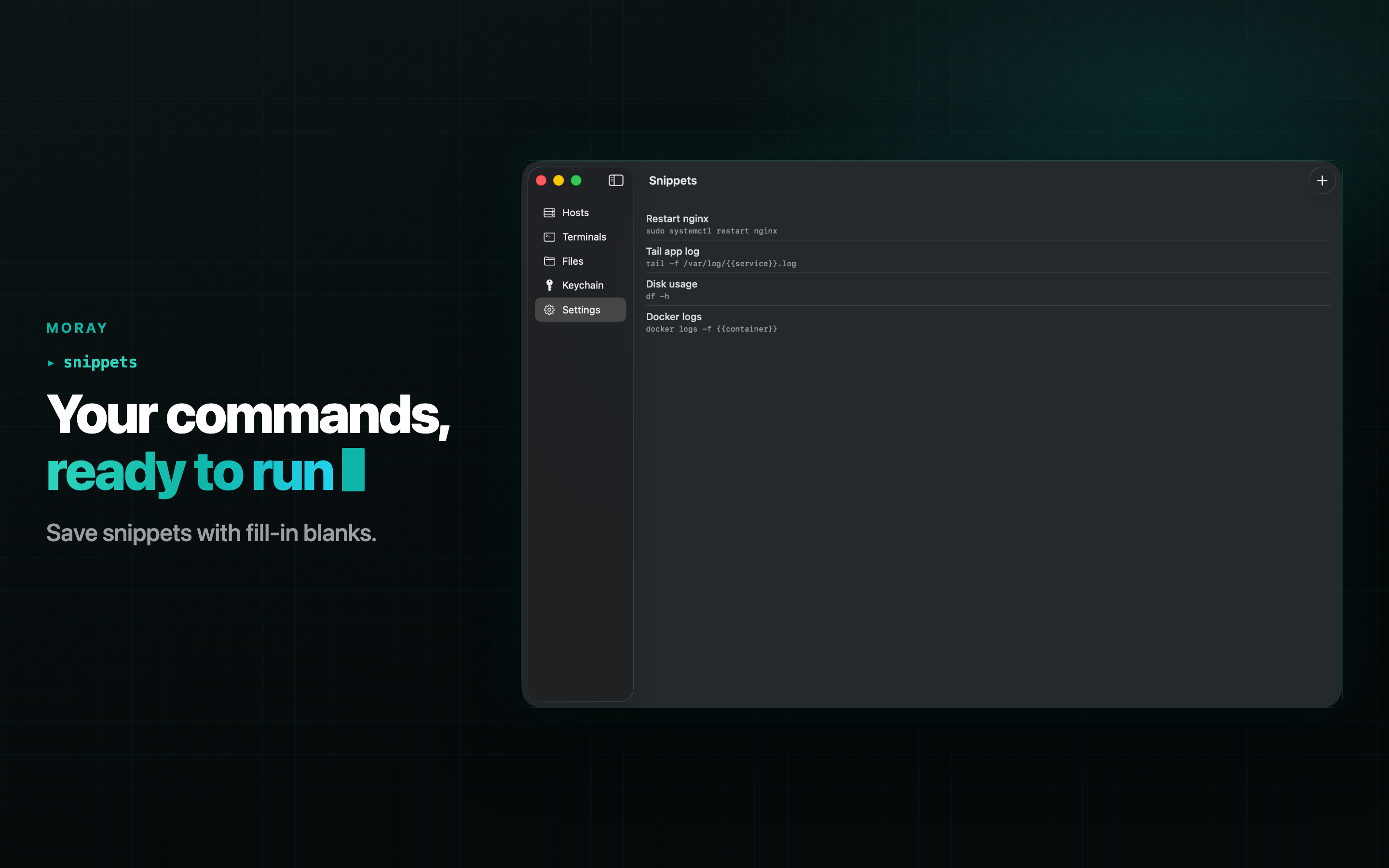 Moray: SSH, SFTP & Terminal screenshot 22
