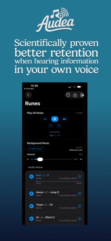 Audea screenshot