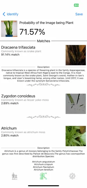 Plant Identifier Pro screenshot 4
