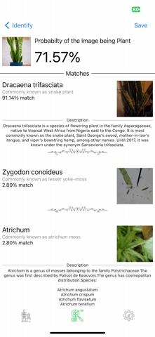 Plant Identifier Pro Screenshot 4 of 9