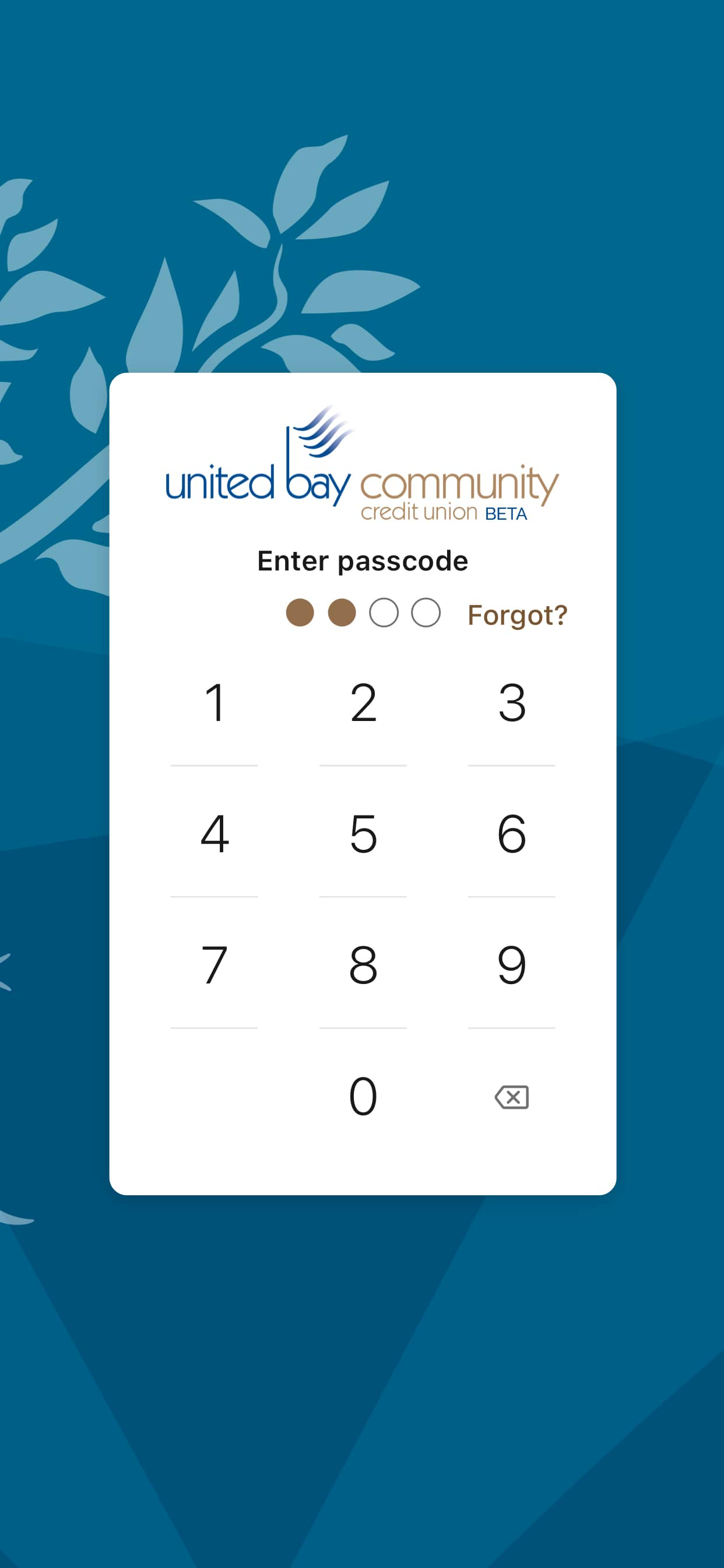 United Bay CCU Banno