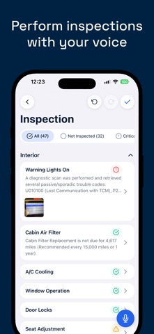 Detect Auto iPhone screenshot