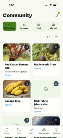 MyTreeSweets Grower Screenshot 3 of 6