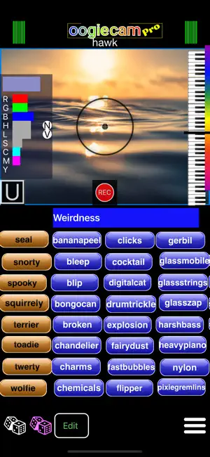 oogieCam screenshot 2