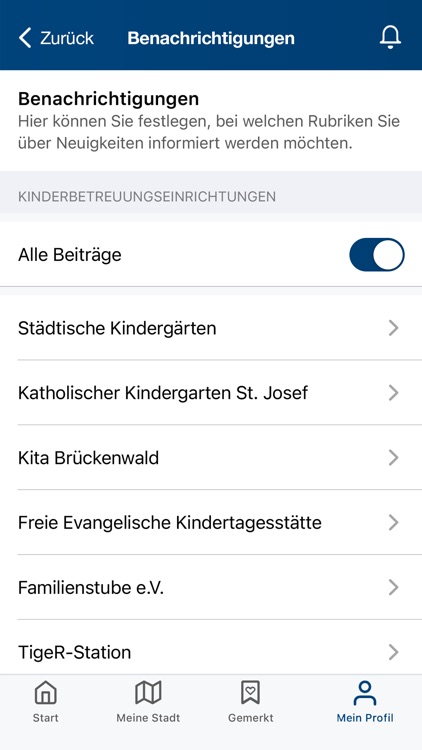 Hayingen screenshot-3