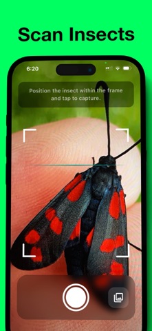 Bug Identifier : WhatTheBug? Screenshot 1 of 3