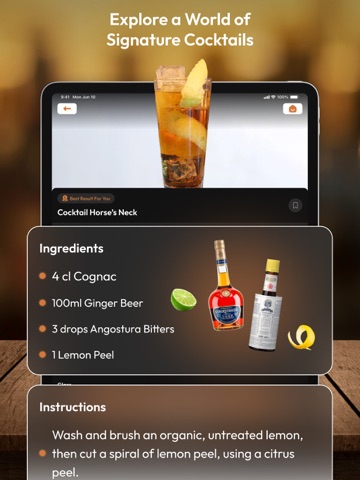 AI Cocktail Recipes: Bartender iPad screenshot