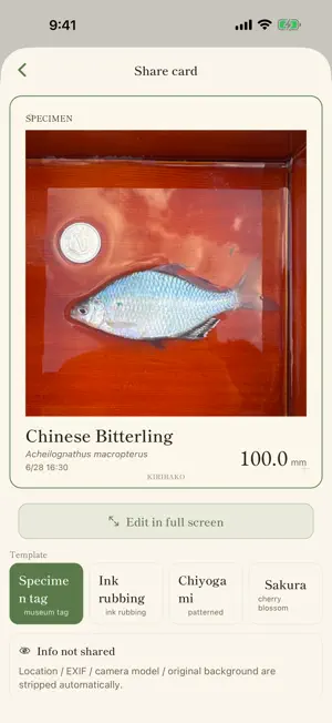 KIRIBAKO – Tanago Fishing Log screenshot 4