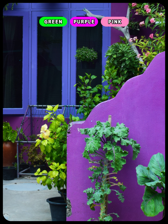 Color Scan Cam iPad screenshot 5 - Graphics & Design app