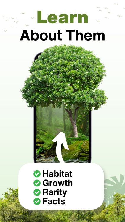 Tree Identifier - AI Scanner