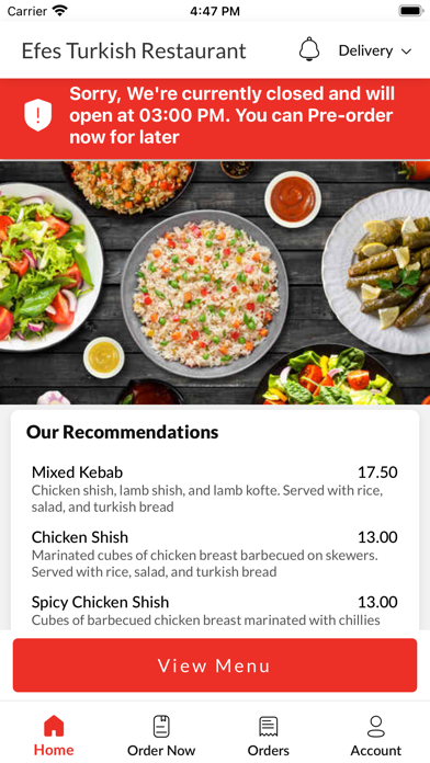 Efes Turkish Restaurant Screenshot
