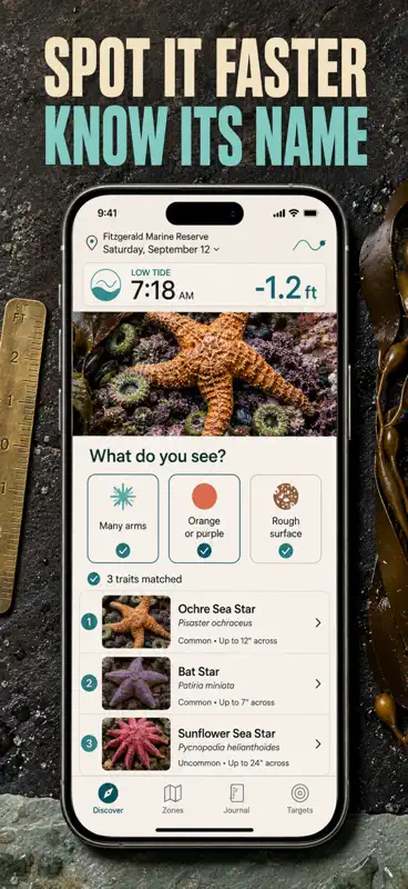 Tide Pool ID: Field Guide screenshot 2 of 10