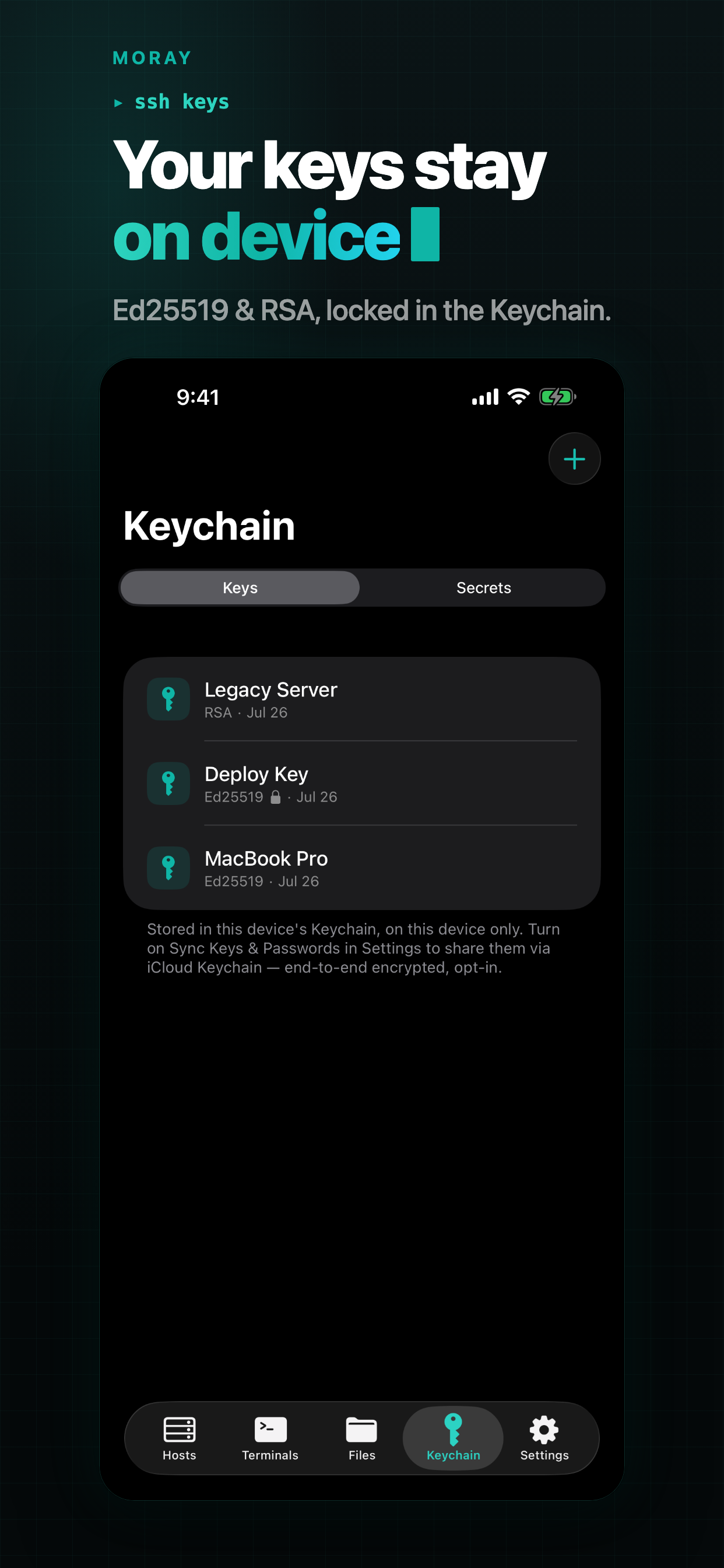 Moray: SSH, SFTP & Terminal screenshot 5