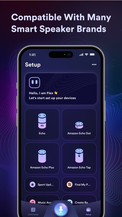 EchoApp Voice, Commands, Setup