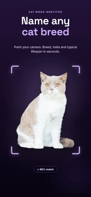 Cat Breed Identifier: Scan screenshot 1