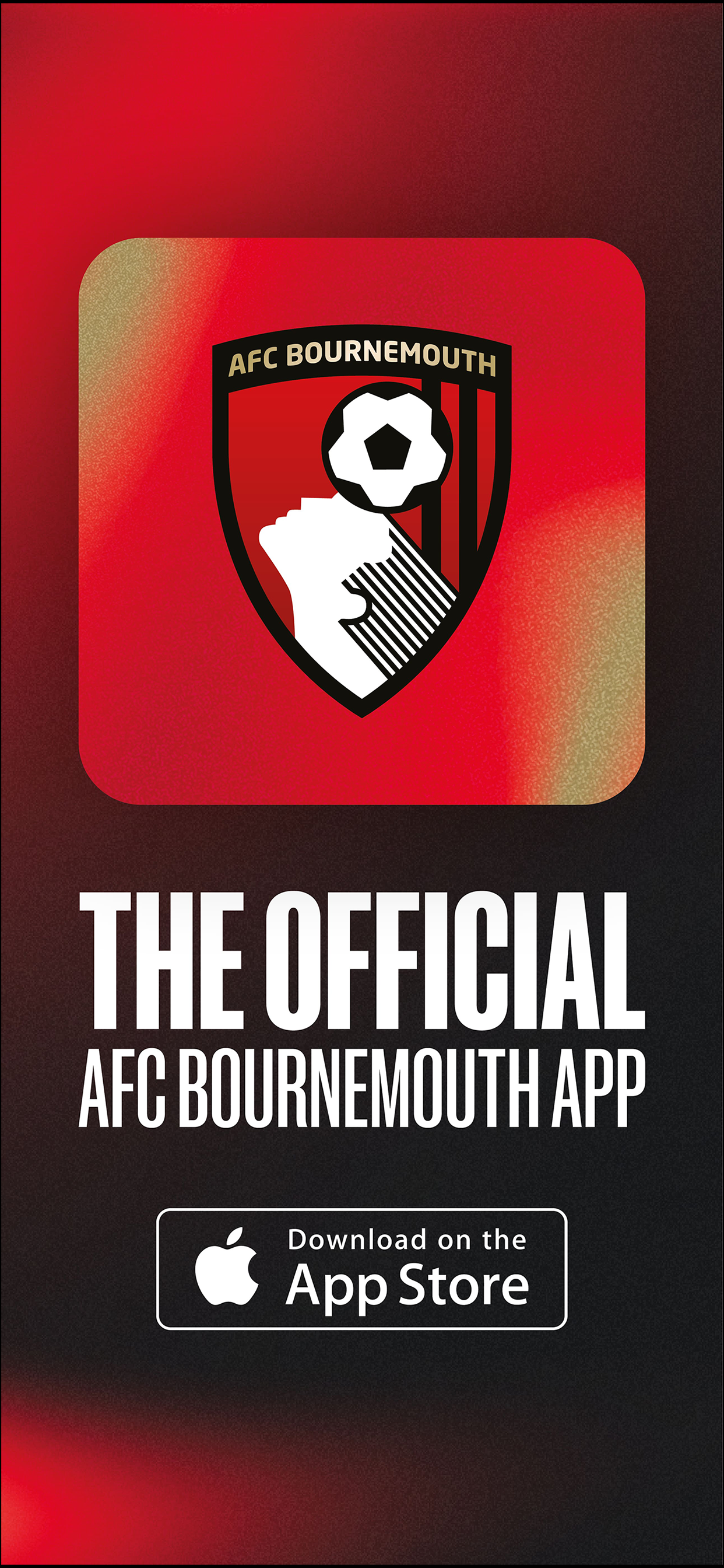 AFC Bournemouth