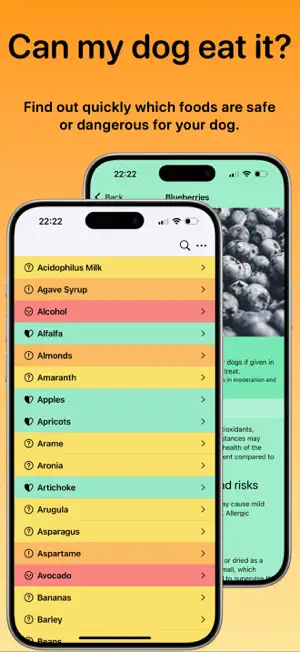 DogsBowl screenshot 1