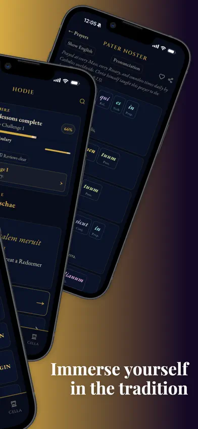 Lingua Sacra screenshot 2