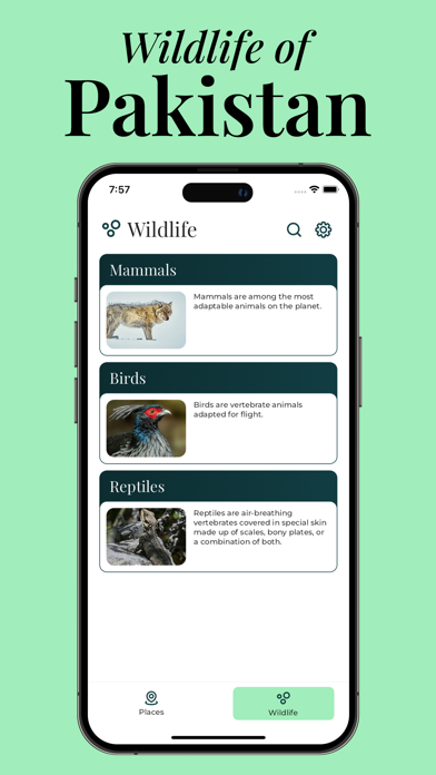 Pakistan - Places & Wildlife Screenshot