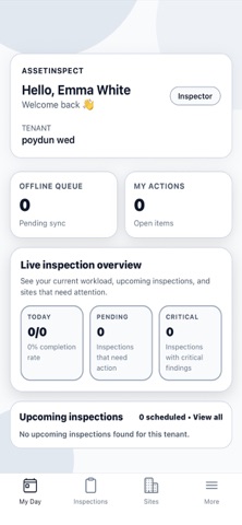 InspectAssets screenshot