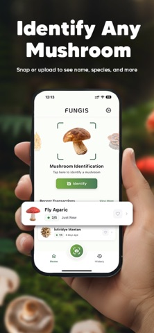 Mushroom Identifier : Fungis iPhone screenshot