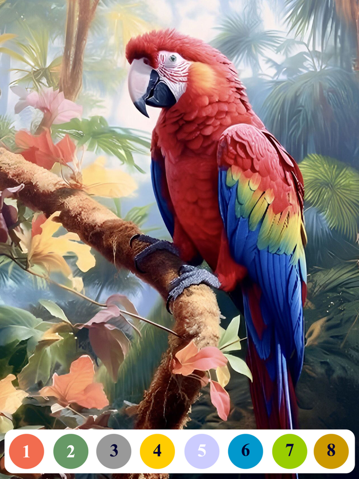 Senior Color - Paint By Number