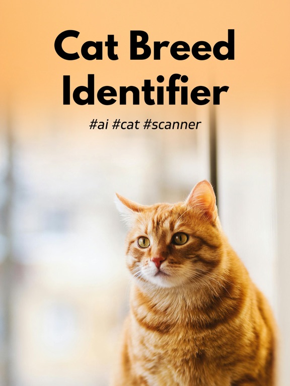 Screenshot #4 pour Cat Breed Identifier