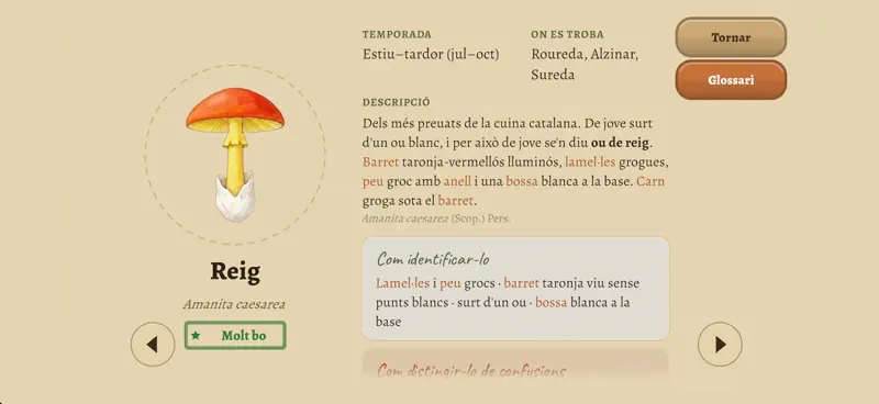 Bolets a la vista screenshot 4 of 8