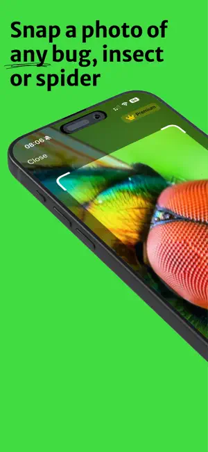 Bug Identifier - Insect AI screenshot 1