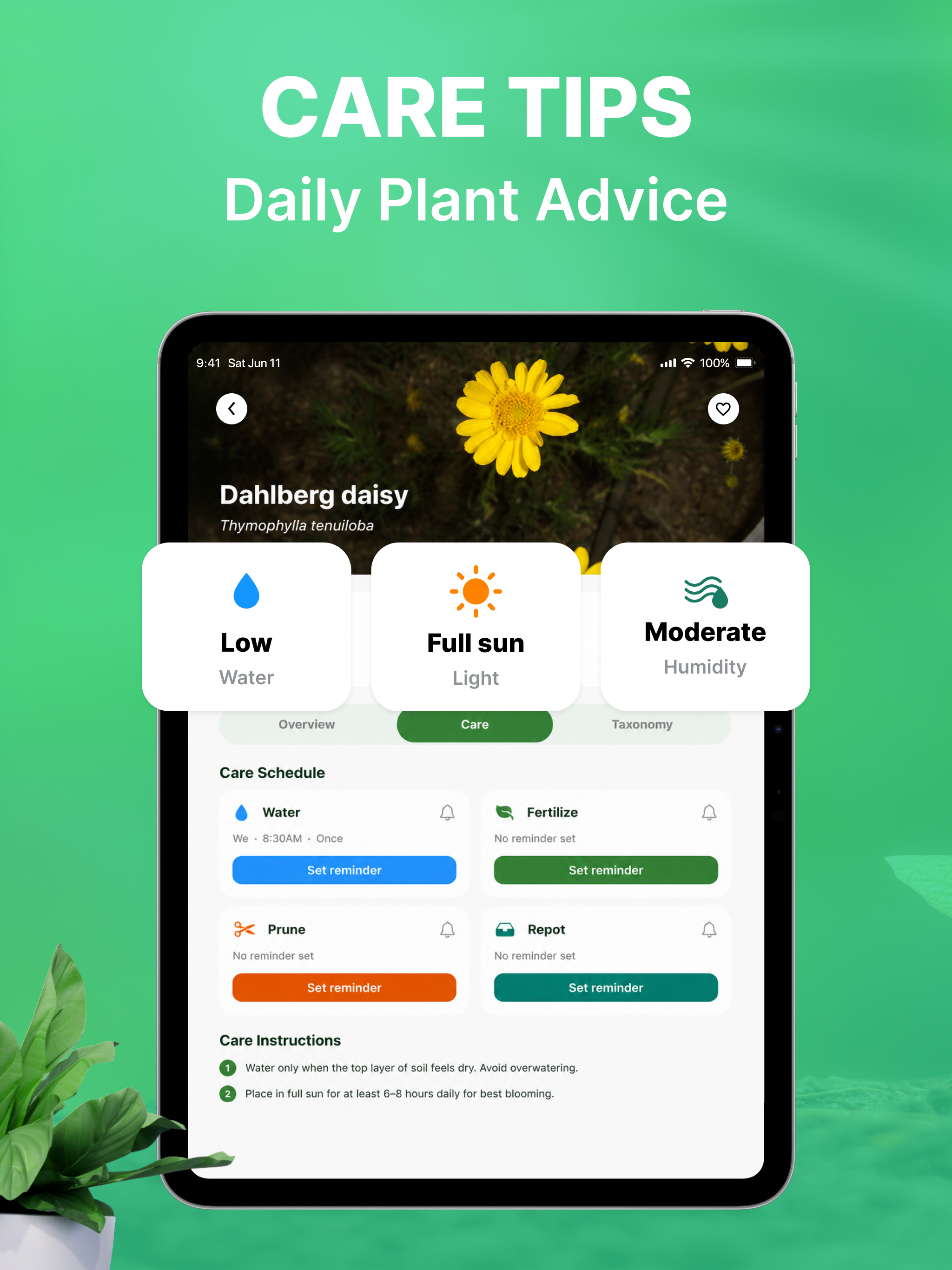 Leafa: AI Plant Identifier