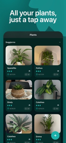 Petalum Screenshot 2 of 5