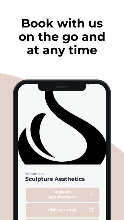 Sculpture Aesthetics