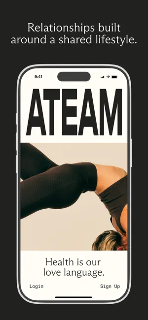 ATEAM screenshot 2