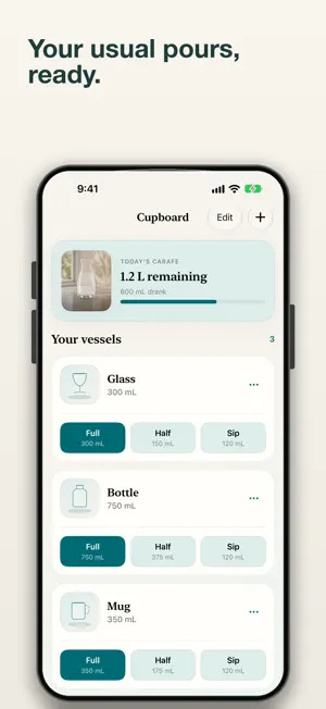 Carafe screenshot 4