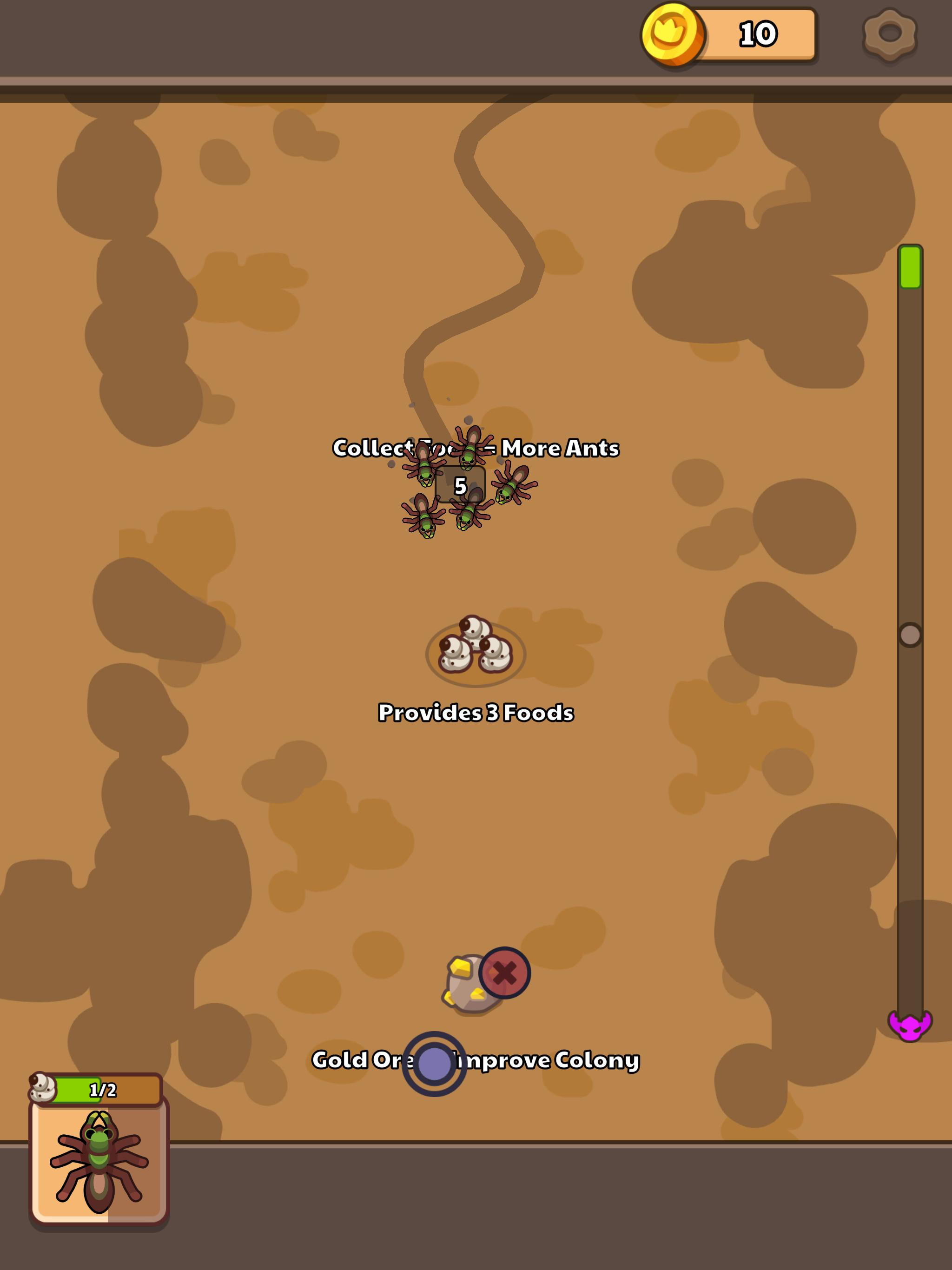 Ant Colony: Growth