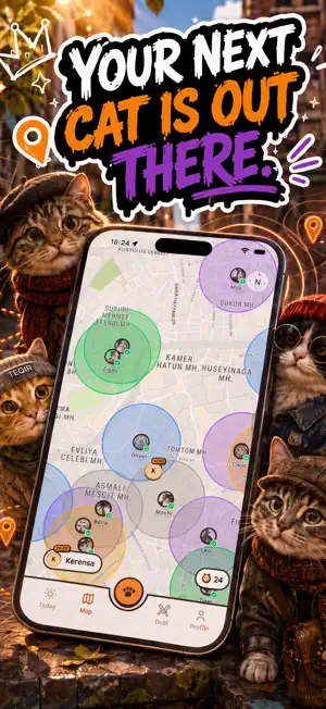 Teqir: Catch Real Cats screenshot 3