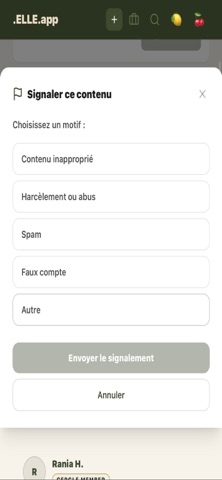 Elle.app screenshot