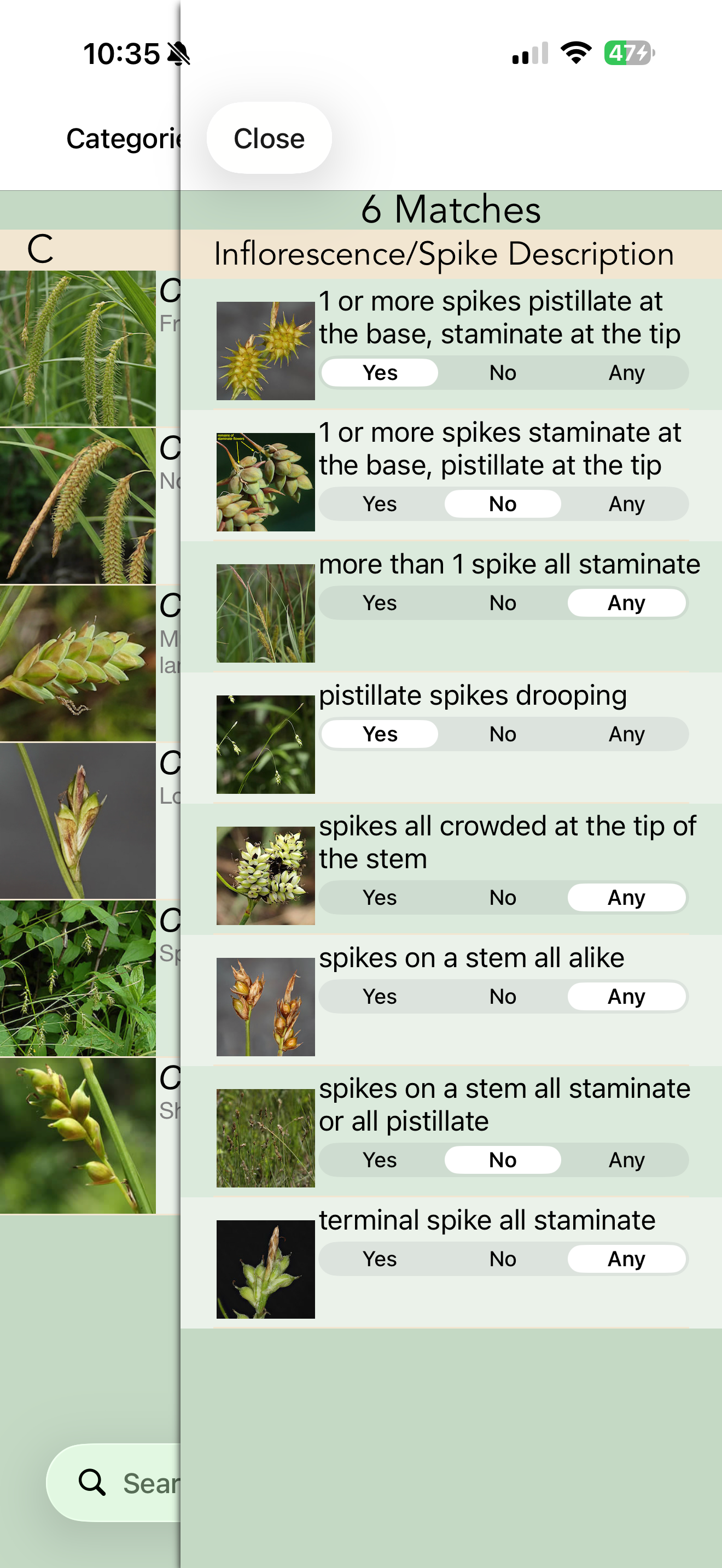 Minnesota Wildflowers Info.