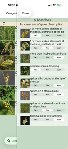 Minnesota Wildflowers Info. screenshot